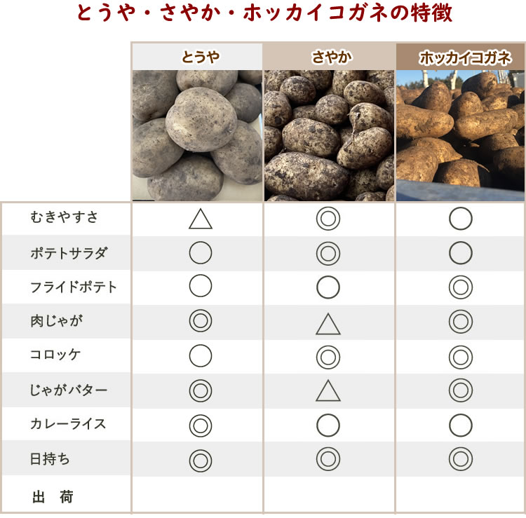 じゃがいも比較表